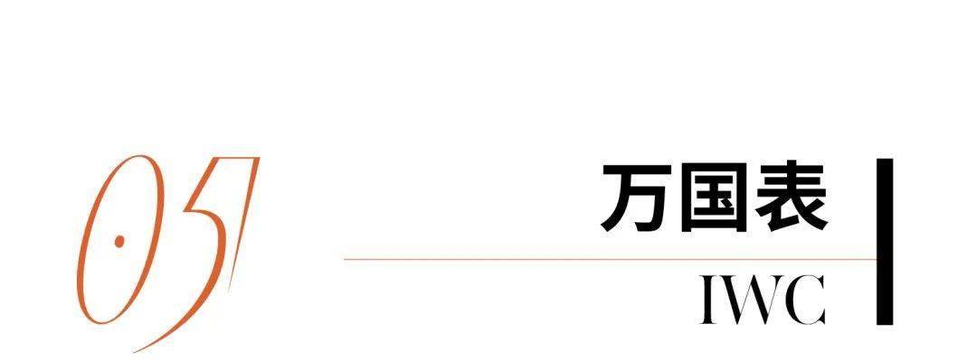 致工艺与隽永历史中腕表品牌的坚守与进阶直击 2025 日内瓦高级钟表展｜在极(图1)